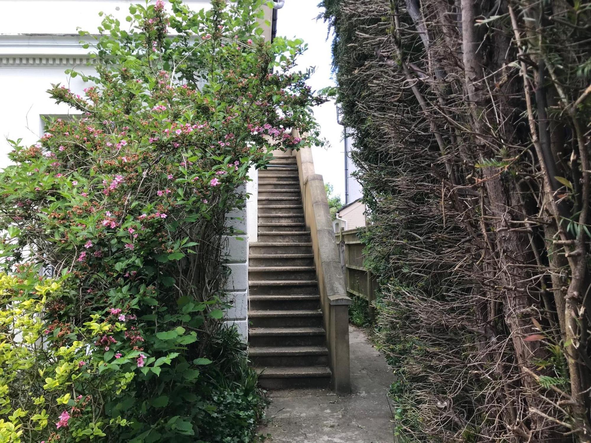 Tree Tops Apartment In Tunbridge Wells Exterior foto